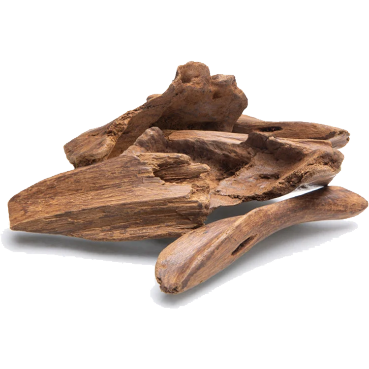 Special Cambodian Oud